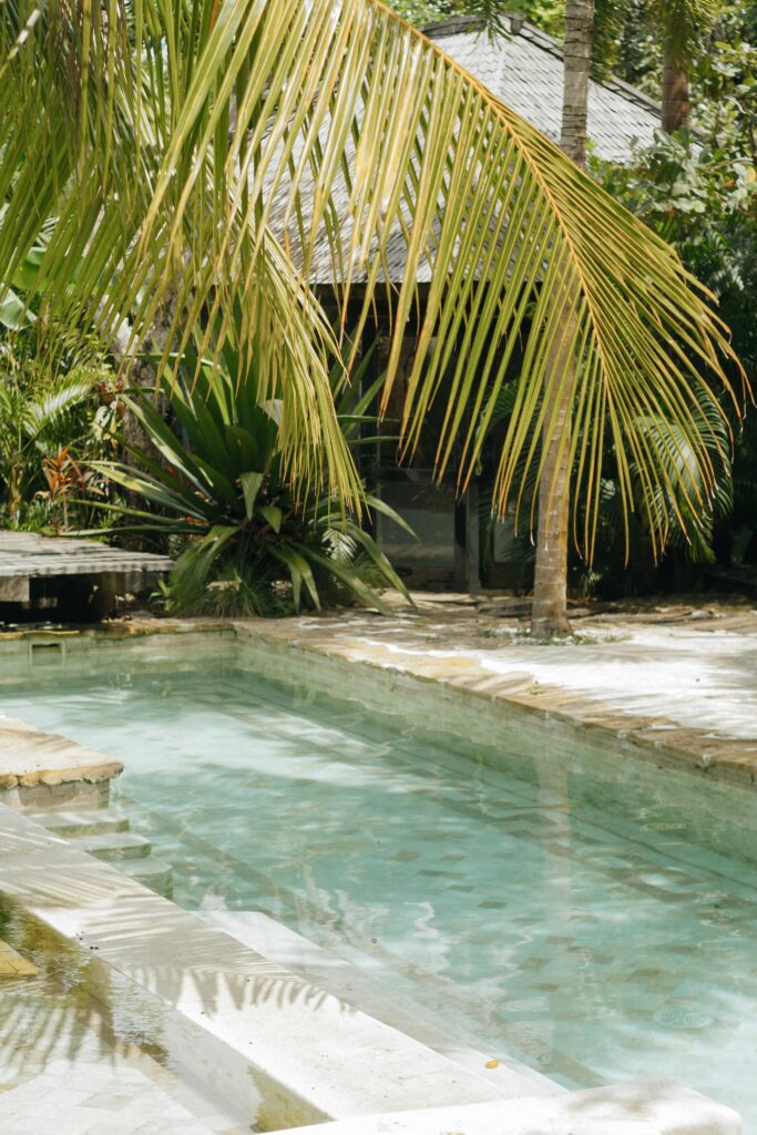A serene tropical resort pool surrounded by lush greenery and palm trees for a paradise-like escape.